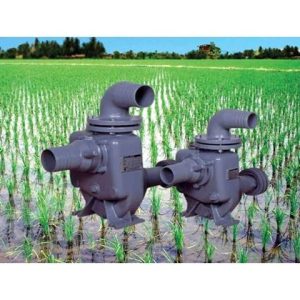 Pompa SQPB Ebara - Jual Pompa Irigasi Murah, Pompa irigasi, Pompa irigasi ebara, Pompa irigasi murah, harga apar, pompa cnp, pompa deep well